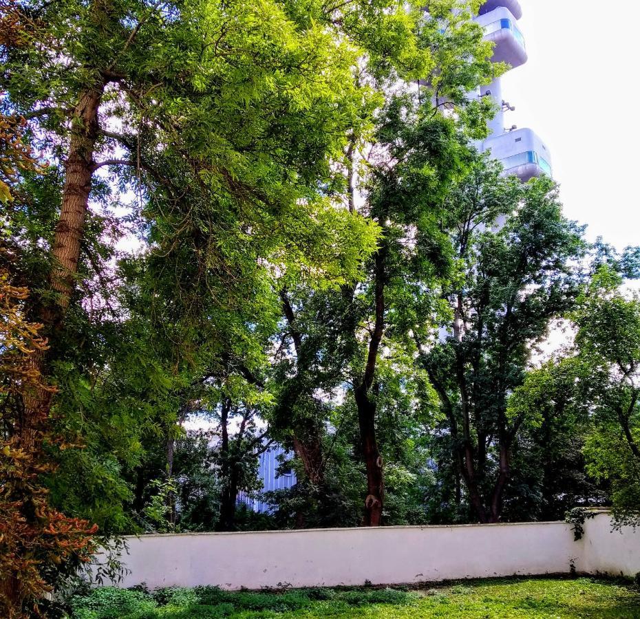 Apartment Sense Of Zizkov